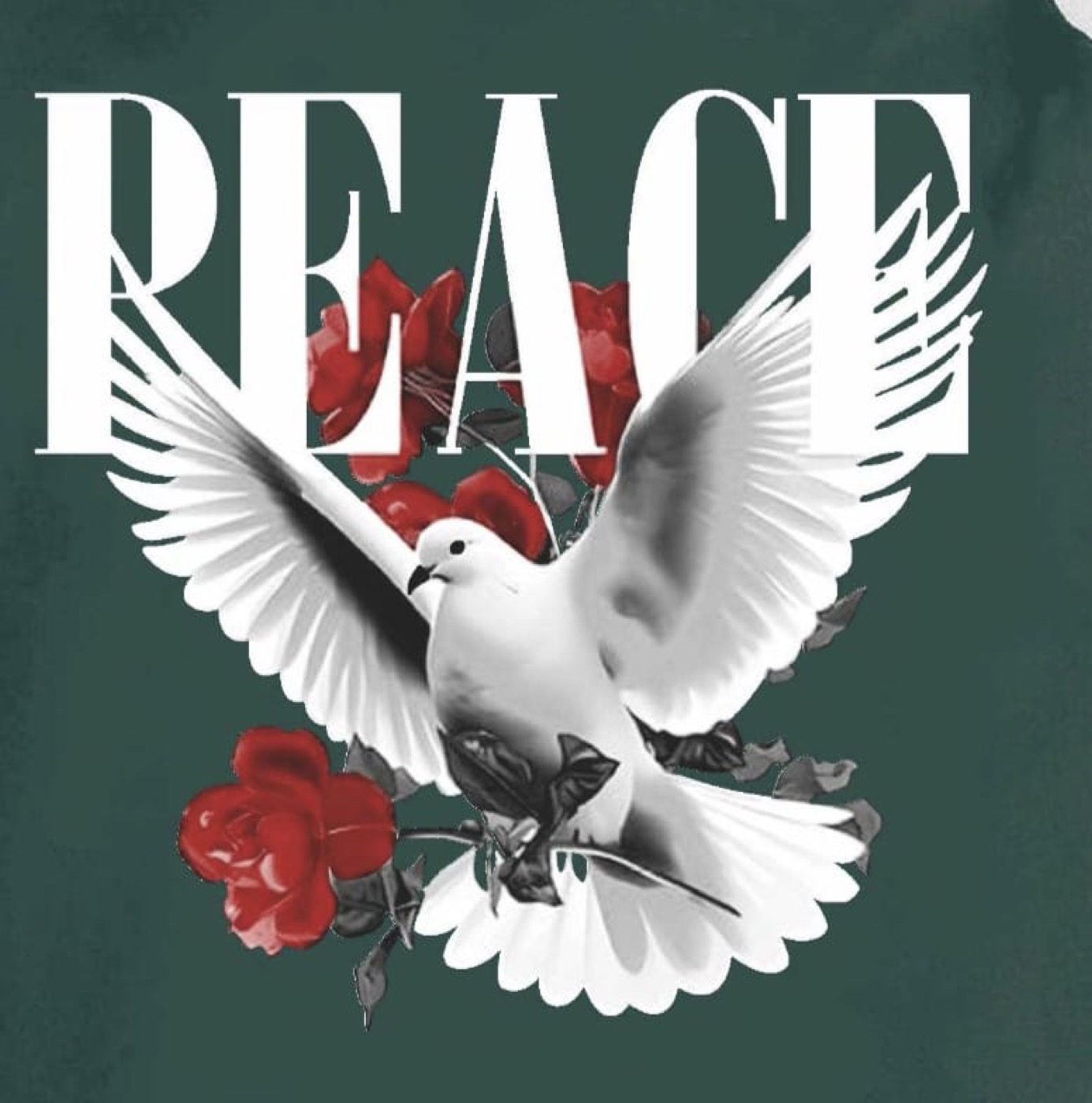 Peace dove graphic print detail